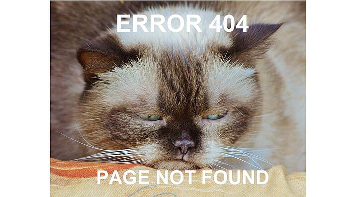 Bild von trauriger Katze, Schrift: Error 404 Page