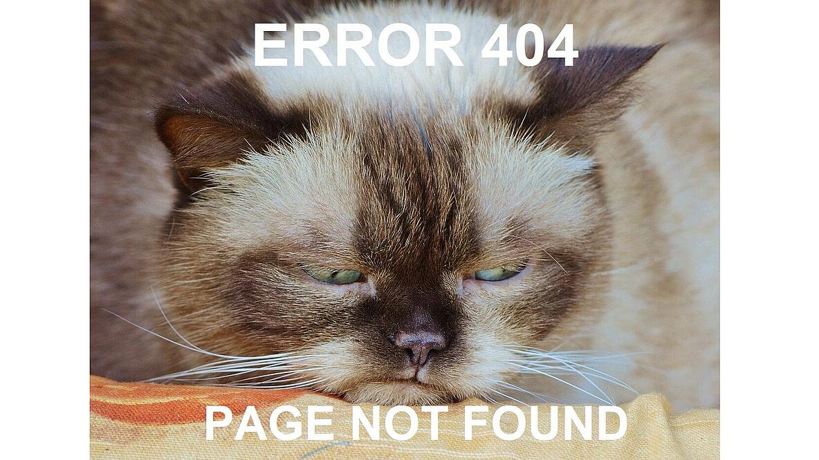 Bild von trauriger Katze, Schrift: Error 404 Page