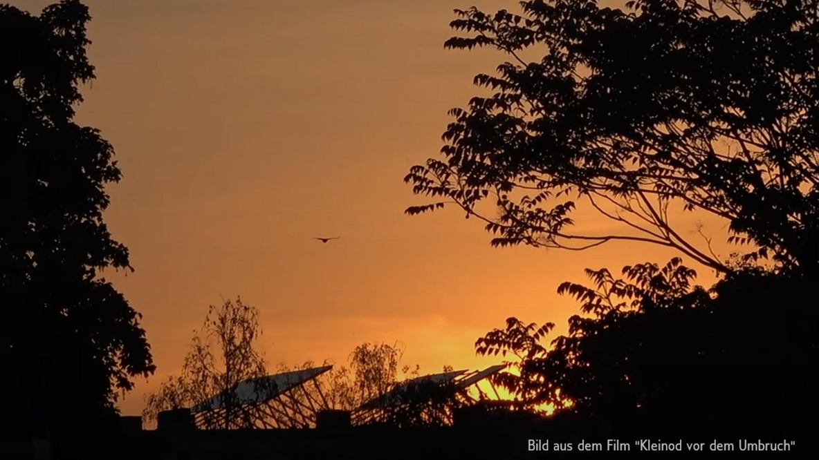 Auf dem Bild ist ein Sonnenunter- oder aufgang zu sehen. Im Vordergrund  und an den Seiten sind Bäume und Hecken zu sehen