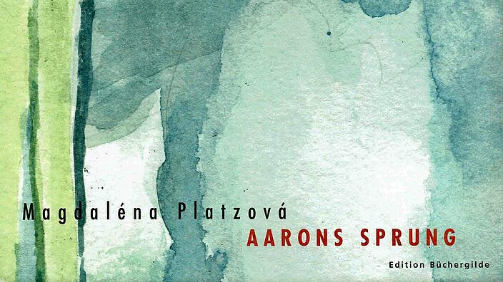 Cover Buch Aarons Sprung