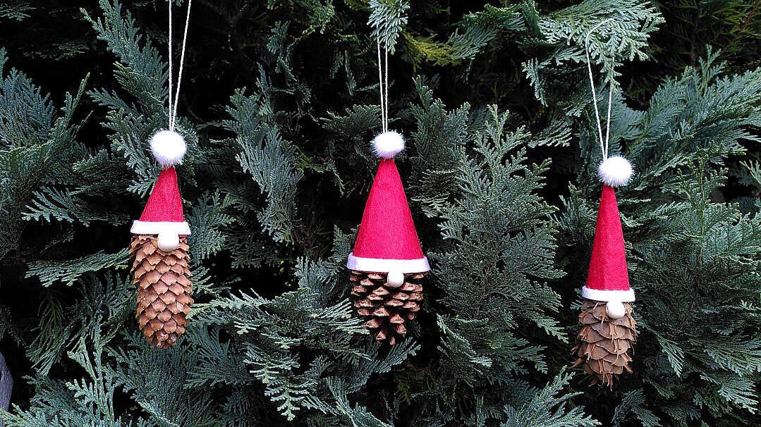 Drei kleine Zapfen am Weihnachtsbaum