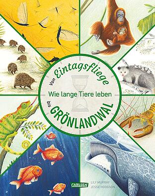 Cover des Buches Von Eintagsfliege bis Grönlandwal: Es sind verschiedenste gezeichnete Tiere in einem Kreis zu sehen, wie ein Orang-Utan, ein Wal, Fische und ein Chamäleon